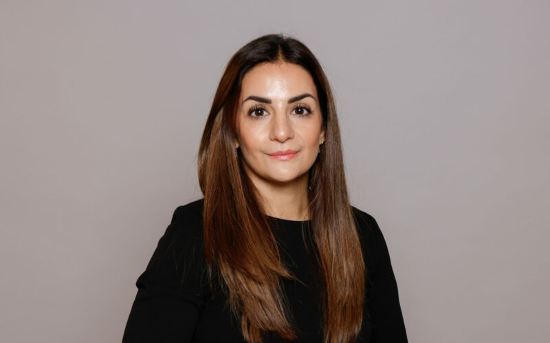 Parisa Liljestrand, kulturminister